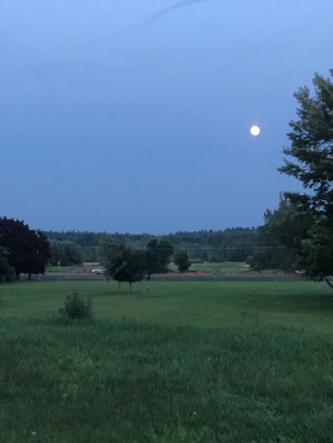 Moon Coming Up Behind the Front Motel