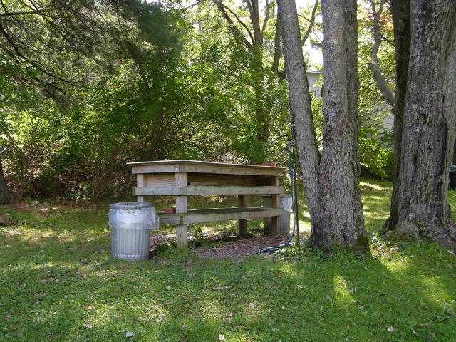 Fish Cleaning Station