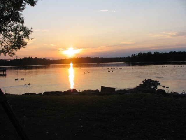 Geese and Ducks Were Enjoying the Sunset Too!